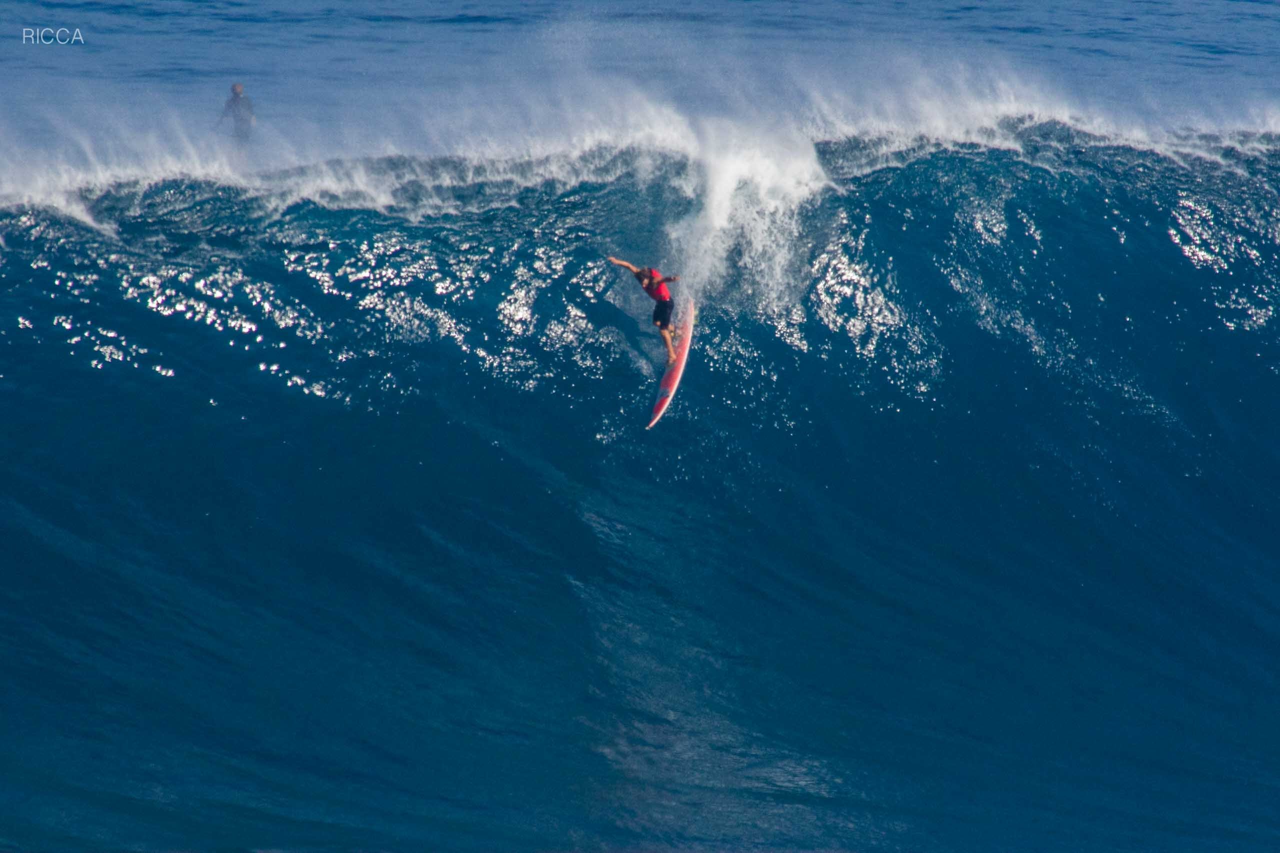 jaws nick ricca